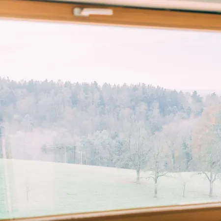 Gut Huegle Erlebnishof 拉芬斯堡