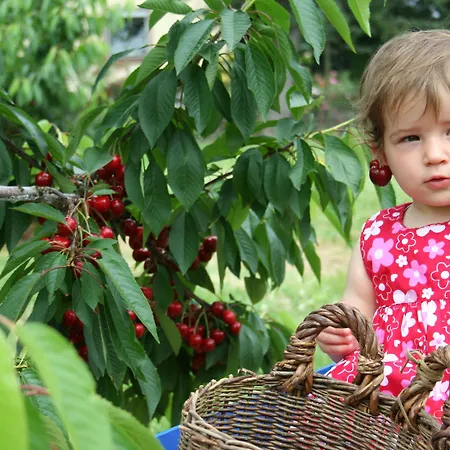 Gut Huegle Erlebnishof *