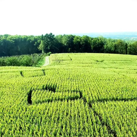 农家乐 Gut Huegle Erlebnishof